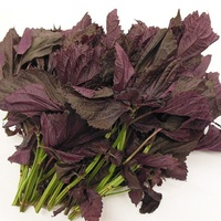 [S-012] Red Shiso Seed Japanese Red Perilla 赤しその種 100pc