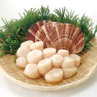 HOKKAIDO Sashimi Scallops 1kg | 北海道産 ホタテ お刺身用 1kg